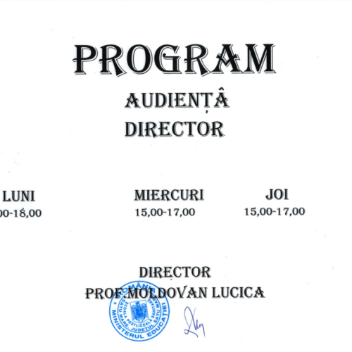 Program audiență director