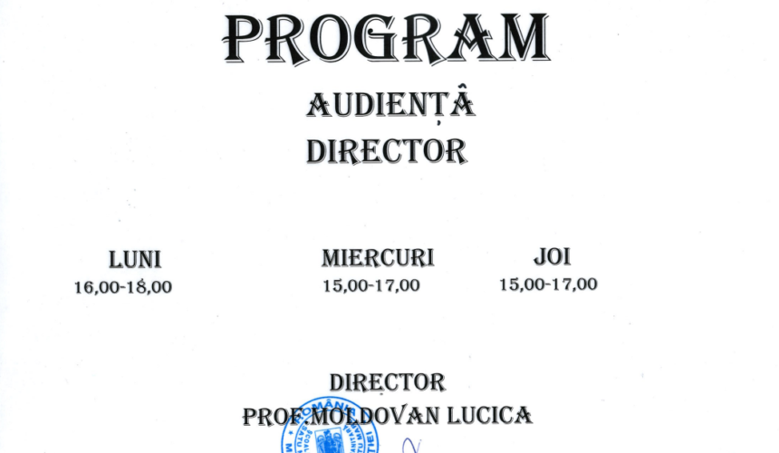 Program audiență director