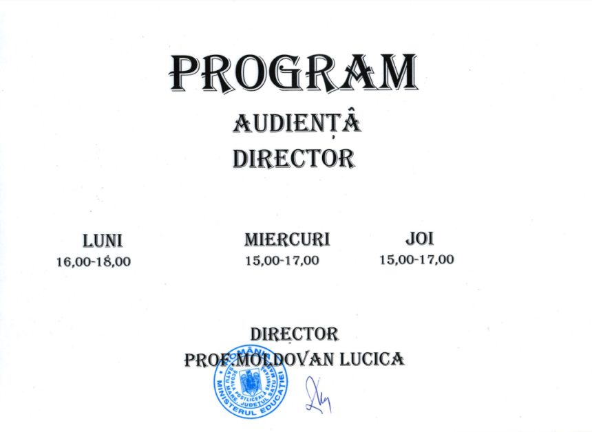 Program audiență director